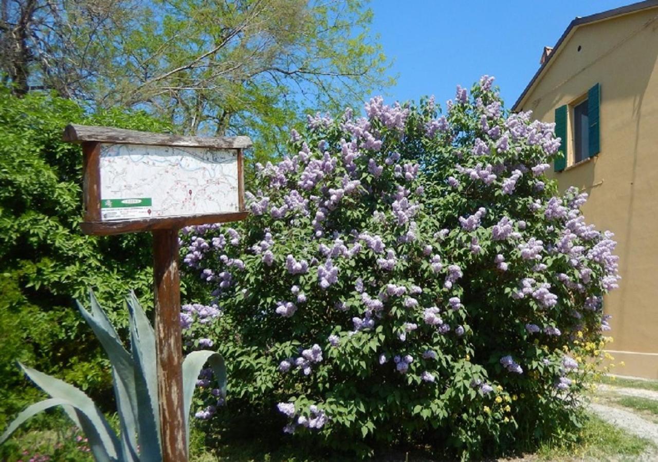 Ferienwohnung Casa Delle Ginestre Cesena Exterior foto